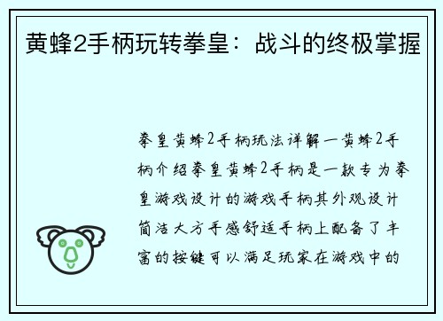 黄蜂2手柄玩转拳皇：战斗的终极掌握
